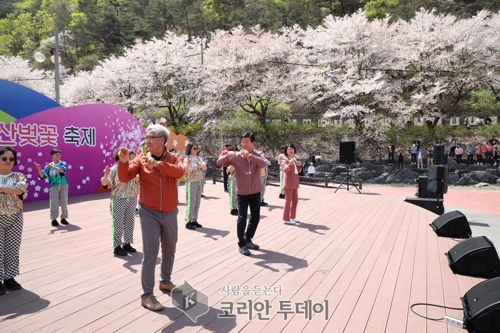 보곡산골 산벚꽃축제 9일 간의 대장정 돌입