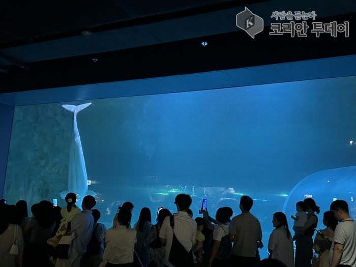 동두천시 드림스타트, 여름방학 맞아 가족과 함께 롯데월드타워·아쿠아리움 나들이