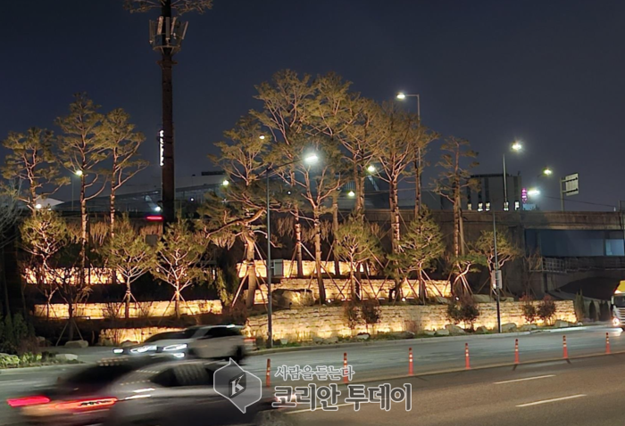 송파대로 관문, ‘정원형 소나무숲’으로 새단장…송파구