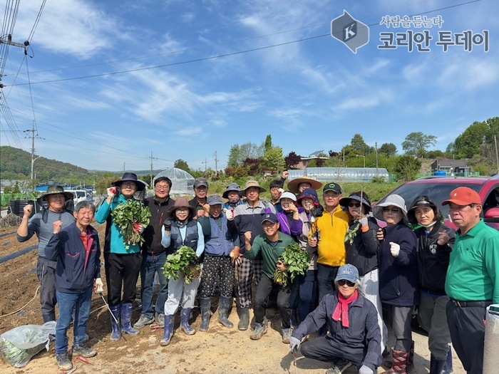 삼죽면 농업경영인회, 고구마 심기 행사 실시