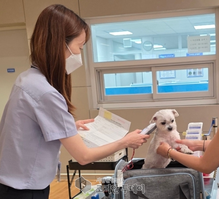“멍멍이 여권 검사 받았나요?”…반려동물 해외여행, 검역 없인 출국도 입국도 못 한다