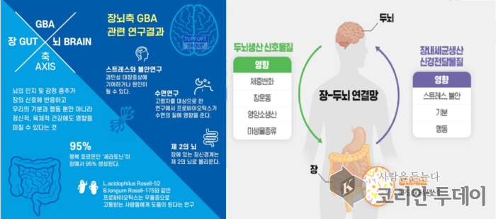 [마크로비오틱 6] “장은 제2의 뇌”―마크로비오틱이 소화기 건강에 미치는 힘