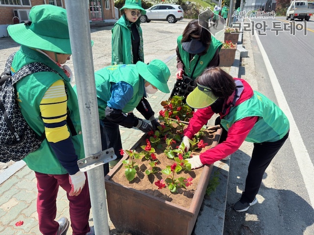 삼죽면 새마을부녀회, 초화 식재 활동