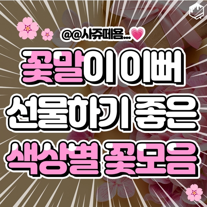 꽃말과 함께하는 컬러별 꽃 추천… 선물하기 좋은 의미 있는 꽃들