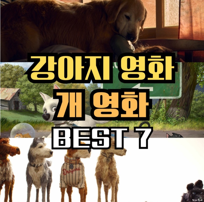 강아지를 주인공으로 한 감동 영화 BEST 7
