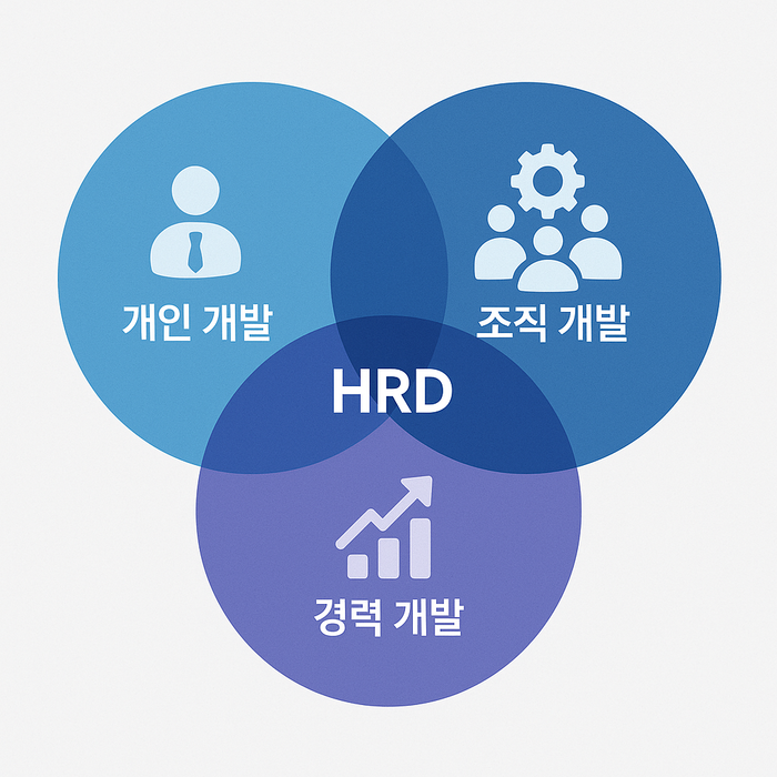 HRD란 무엇인가? – 인적자원개발의 정의와 중요성