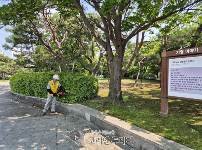 도시공원 134개소 관목류 전정 실시, 고양시