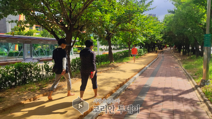 계양구 효성동 봉오대로 중앙녹지에 맨발걷기길 조성… 사계절 이용 가능한 도심 속 힐링 공간