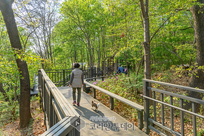 양천구, ‘둘레길 걷고 경품도 타고’ 신정산둘레길…탄소중립 스탬프 투어 운영