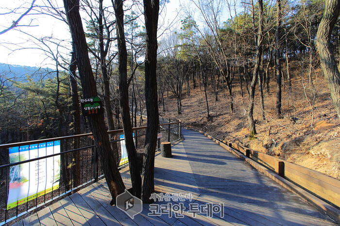 만수산 무장애길, 산림청 아름다운 도시 숲 50선에 선정