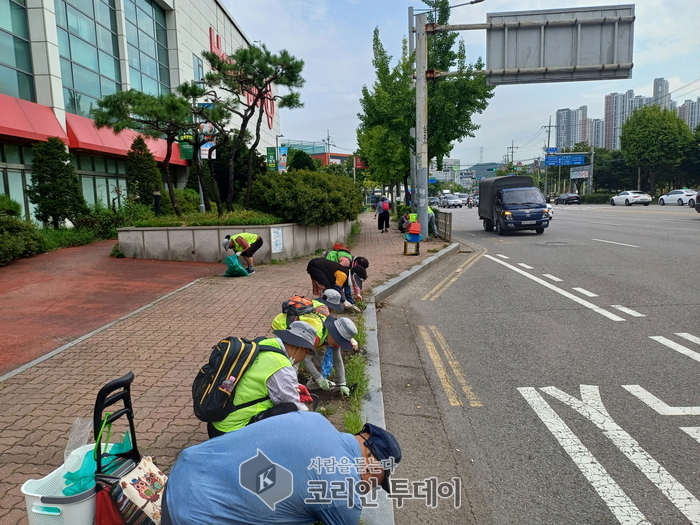 환경지킴이, 제초 작업 및 환경정비 실시