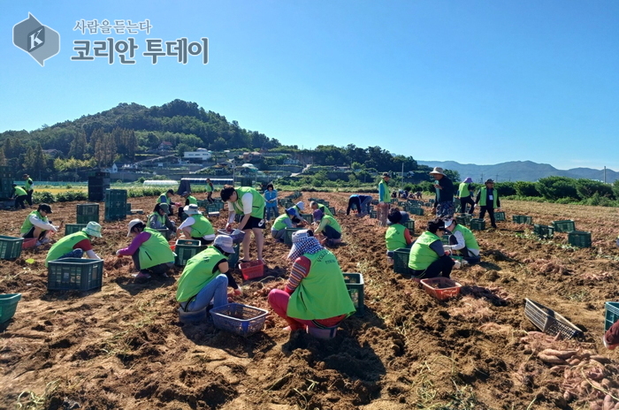 강화도서 ‘도농 연계 농촌 일손 돕기’ 봉사활동 진행