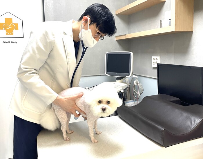 반려동물 건강 지킴이 영등포구, 광견병 백신 지원