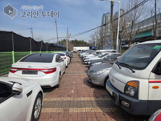 불법 주차 무판 차량 단속 강화… 연안동 일대 안전 확보 나서