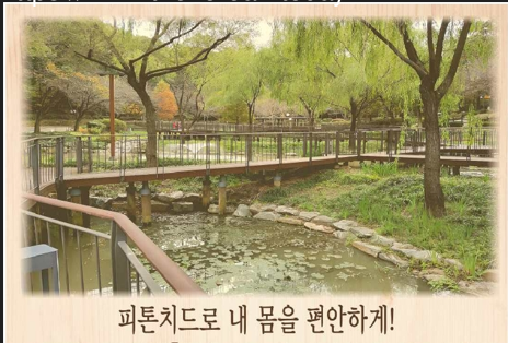 산림치유 프로그램 ‘구로형 산림처방’ 운영