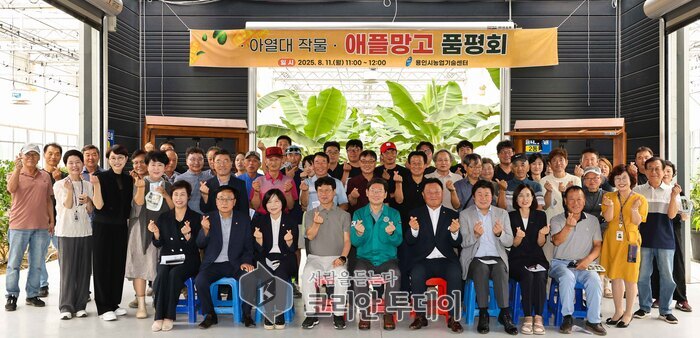 애플망고도 용인産…과학영농시설서 첫 수확, 새로운 농가 소득원 가능성 확인