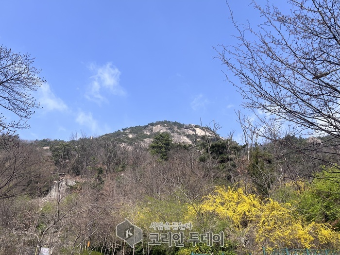 [칼럼 2회차] 산은 말하지 않지만, 다 알고 있다
