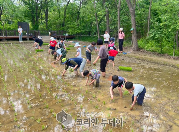 “서울 도심 속 자연학교, 방이습지에서 생태를 배우다”, 송파구