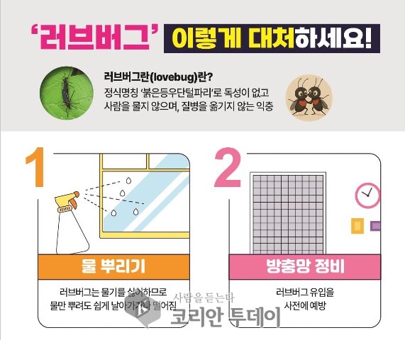 여름철 해충 방역과 러브버그 대응 강화