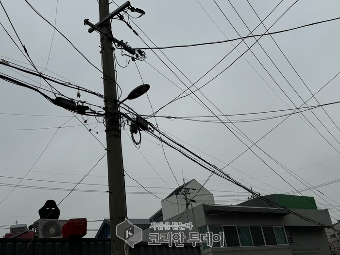 양천구, 거미줄 전선 걷고 안전 더한다…공중케이블 42km 정비