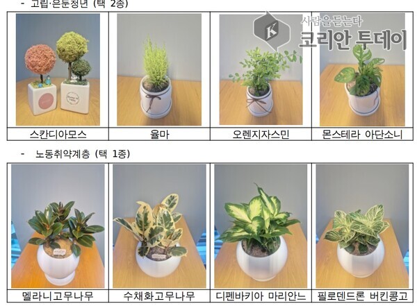 서울시, 반려식물로 정서 치유…고립청년·노인 등 6000명 지원