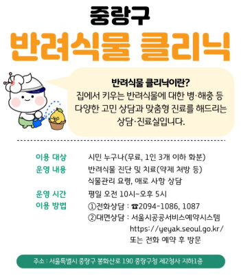 중랑구, 반려 식물 위한 ‘식물 클리닉’ 운영