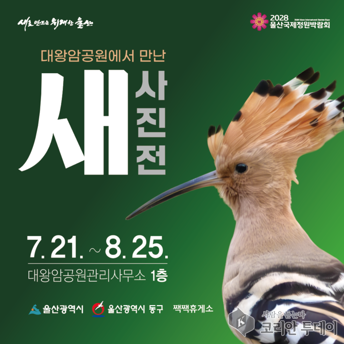 울산 대왕암공원, ‘새와의 특별한 만남’ 사진전 개최