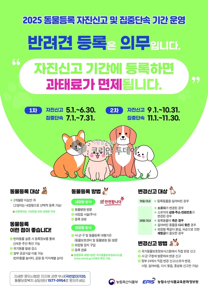 계양구, ‘2025년 제2차 동물등록 자진신고기간’ 운영… 9~10월 신고 시 과태료 면제
