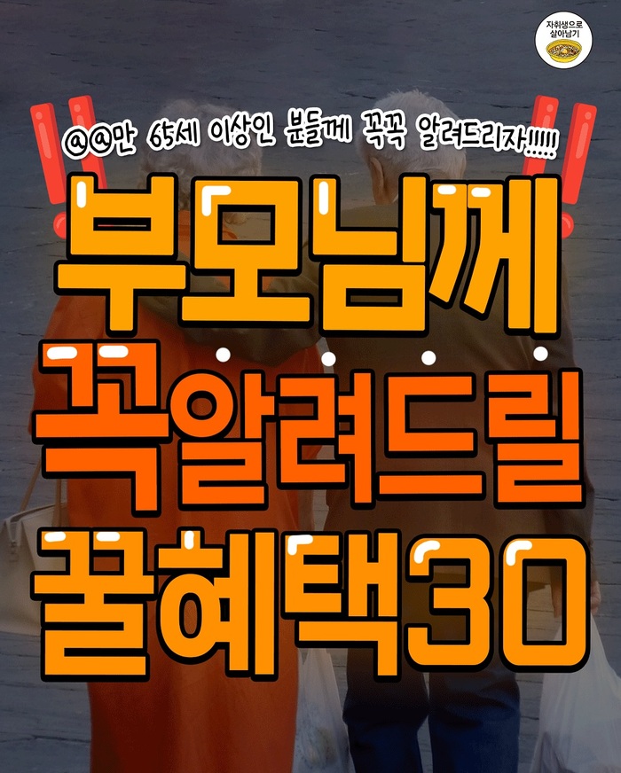 부모님께 꼭 알려드릴 만 65세 이상 혜택 총정리 교통·건강·문화·생활까지 어르신을 위한 꿀혜택 30선!