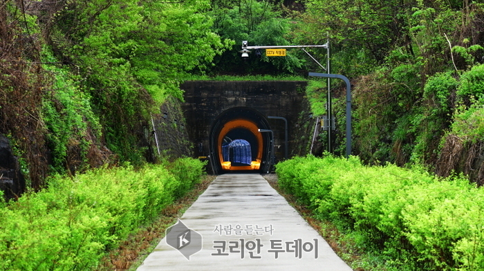 치악산 바람길숲, 국내 최장 11.3㎞ 도시숲 전면 개통