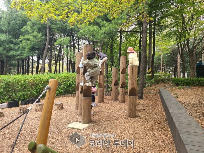 성동구, 유아숲체험원 새 단장… 아이들 안전·체험 환경 강화