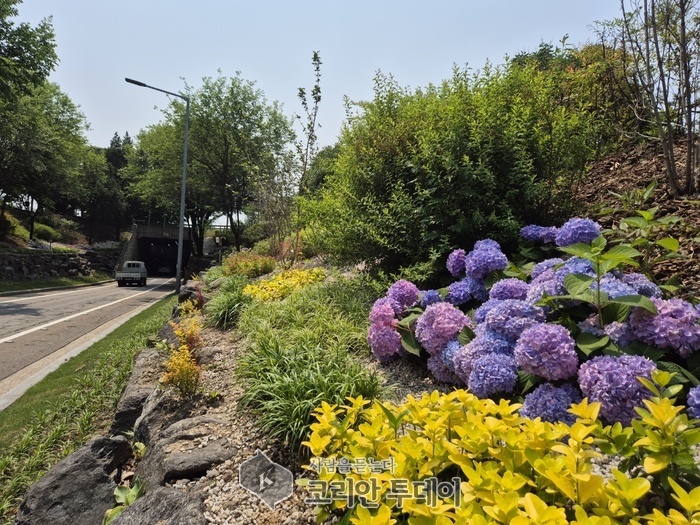 성동구, 도심을 식히는 ‘바람길숲’ 완공…미세먼지 저감과 힐링까지