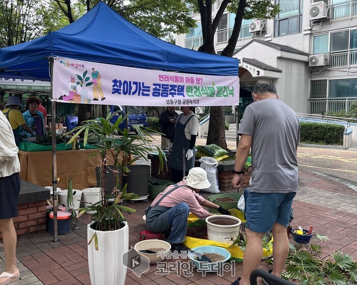 성동구, ‘찾아가는 반려식물 클리닉’…집 앞에서 받는 식물 건강상담