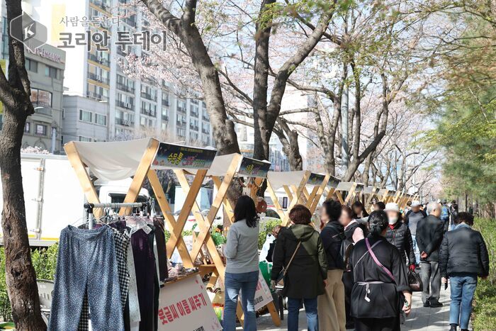 인천 동구, 벚꽃 개화기 맞아 ‘수문통 벚꽃 FESTA’ 성황리에 개최