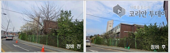구로구, ‘생활주변 위험수목 처리 지원’ 하반기 접수 시작