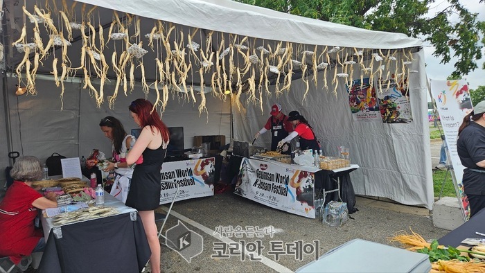 금산세계인삼축제 세계화 도약, 박범인 군수 미국 멤피스 인 메이 축제 주빈국 참여