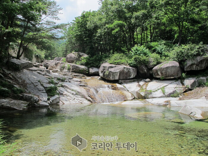 올여름, 무더위 탈출은 이곳에서! ‘풍덩 계곡’으로 떠나는 자연휴양림 10선