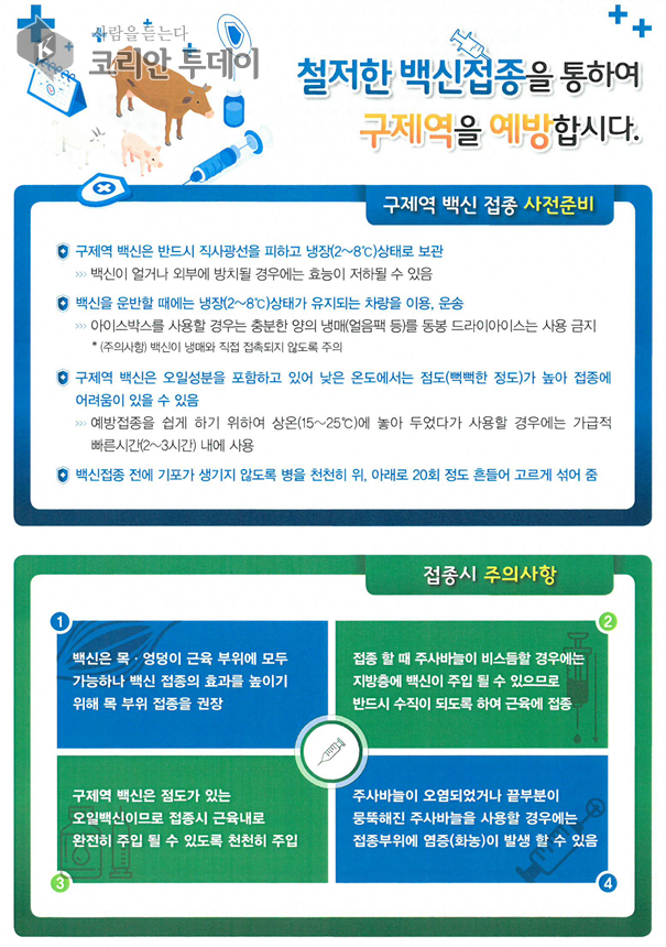 인천시, 하반기 구제역 백신 일제접종 본격 실시… 전업 규모 농가까지 지원 확대