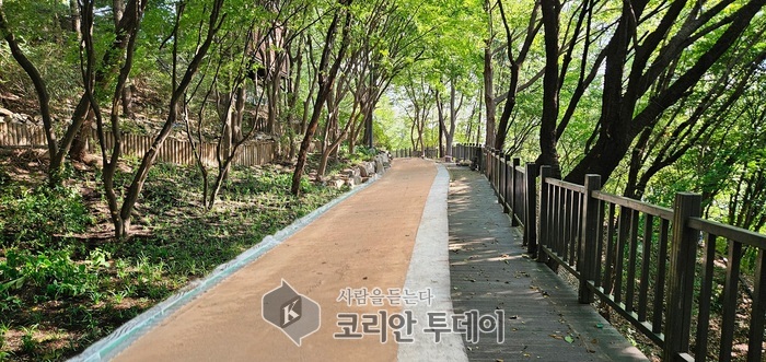 숭인공원 맨발산책로, 종로구 주민 건강 위한 자연 치유 공간 개장
