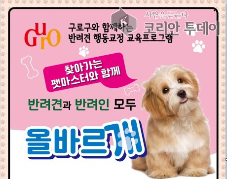 구로구, 반려견 행동교정·사회화 교육 8월 18일부터 신청