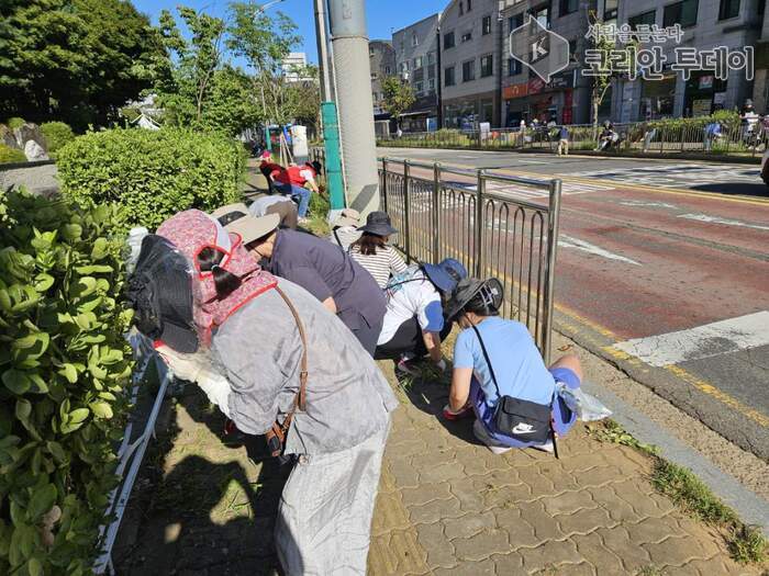 논현2동, 가을맞이 제초작업 실시