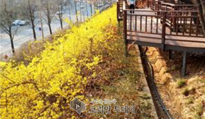 따스한 봄날, 걷기 좋은 ‘송파 꽃캉스’ 4선…, 송파구