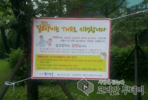 2025년 길고양이 중성화(TNR) 신청 안내