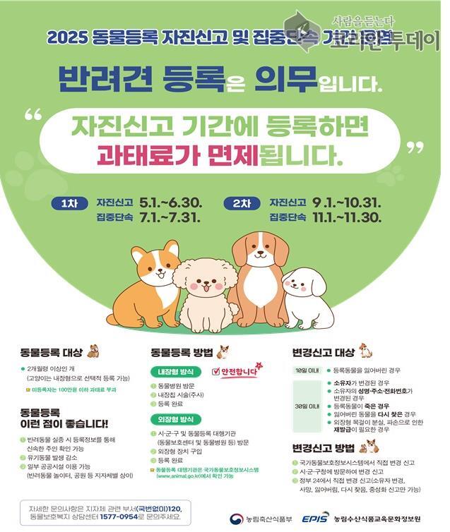 반려동물 등록, 이제는 선택 아닌 필수…안성시 자진신고 기간 운영