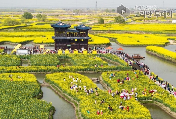 中 장쑤성, ‘꽃나들이 경제’로 농촌에 활력…지역 소비도 ‘활짝’