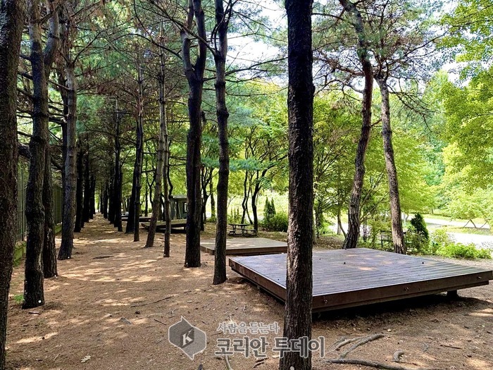 도심 속 여름 힐링! ‘성동 서울숲 여름 캠핑장’ 8월 1일 개장