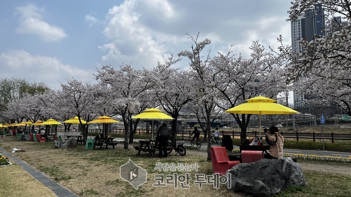 성동구 중랑천, 봄꽃과 여행의 설렘 가득한 ‘피크닉 정원’으로 새단장