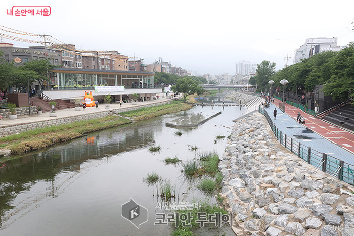 “물멍·산멍 누릴 수 있는 도심 수변 명소” — 우이천 수변활력거점 개장, 서울형 ‘수변감성도시’ 확장