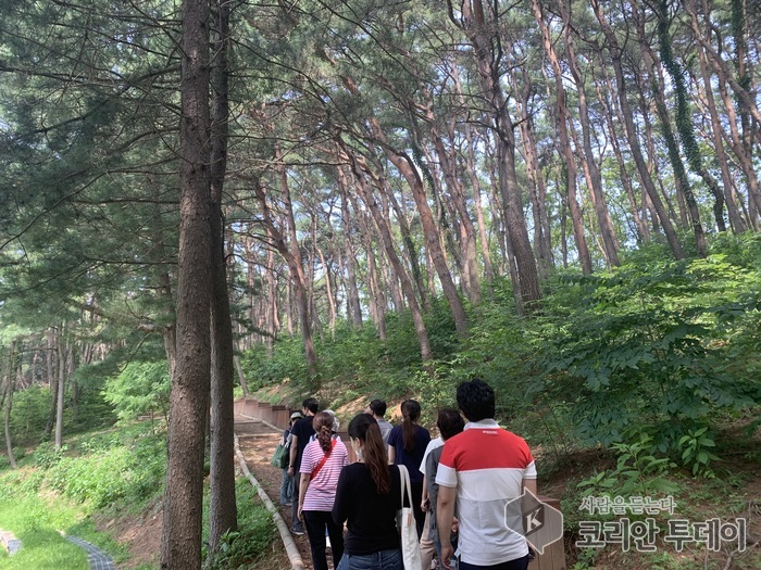 몸과 마음이 쉬어가는 숲속 힐링, 강화 마니산에서 만난다