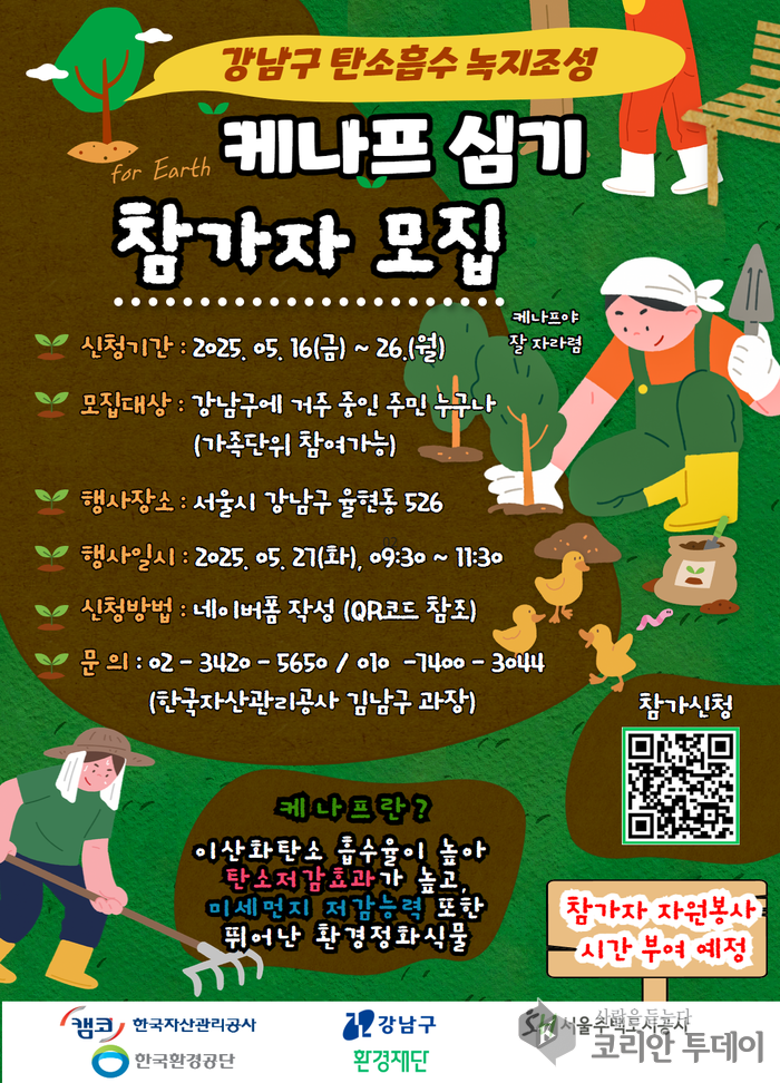 강남구, 도심 유휴지에 케나프 심어 탄소중립 실현 앞장